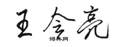 駱恆光王會亮行書個性簽名怎么寫
