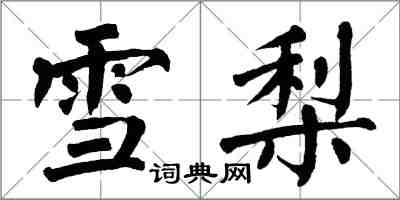 翁闓運雪梨楷書怎么寫