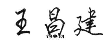 駱恆光王昌建行書個性簽名怎么寫