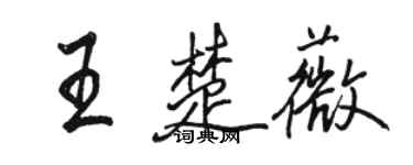 駱恆光王楚薇行書個性簽名怎么寫