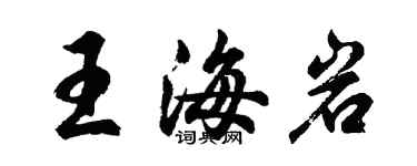 胡問遂王海岩行書個性簽名怎么寫