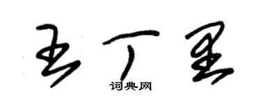 朱錫榮王丁里草書個性簽名怎么寫