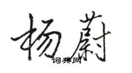 駱恆光楊蔚行書個性簽名怎么寫