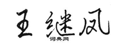 駱恆光王繼鳳行書個性簽名怎么寫
