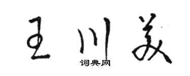 駱恆光王川美草書個性簽名怎么寫