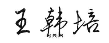 駱恆光王韓培行書個性簽名怎么寫