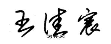 朱錫榮王佳宸草書個性簽名怎么寫