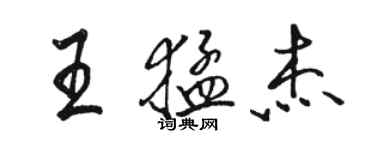 駱恆光王猛傑行書個性簽名怎么寫