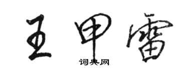 駱恆光王甲雷行書個性簽名怎么寫