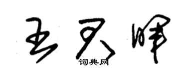 朱錫榮王君暉草書個性簽名怎么寫