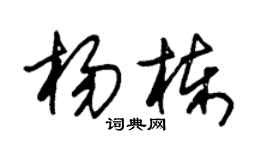 朱錫榮楊棟草書個性簽名怎么寫