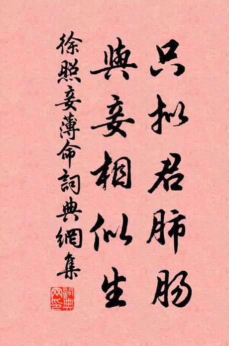 一塢白雲茅數間，歸與釣水采於山 詩詞名句