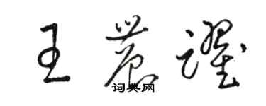 駱恆光王農躍草書個性簽名怎么寫