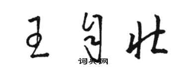 駱恆光王自壯草書個性簽名怎么寫