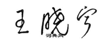 駱恆光王曉寧草書個性簽名怎么寫