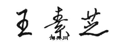 駱恆光王素芝行書個性簽名怎么寫