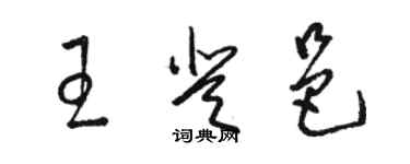 駱恆光王登邑草書個性簽名怎么寫