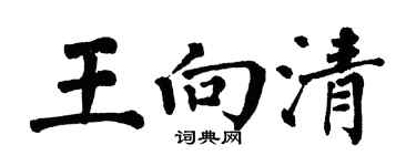 翁闓運王向清楷書個性簽名怎么寫