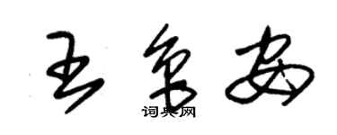 朱錫榮王魯安草書個性簽名怎么寫