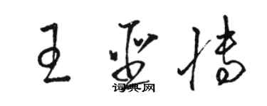 駱恆光王聖博草書個性簽名怎么寫