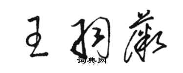 駱恆光王羽薇草書個性簽名怎么寫