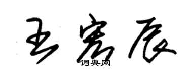 朱錫榮王宏辰草書個性簽名怎么寫