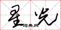 朱錫榮星光草書怎么寫