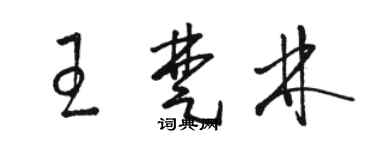 駱恆光王楚林草書個性簽名怎么寫