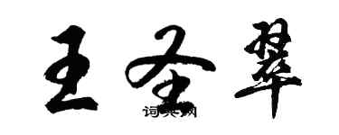 胡問遂王聖翠行書個性簽名怎么寫