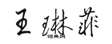 駱恆光王琳菲行書個性簽名怎么寫