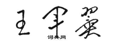 駱恆光王軍翼草書個性簽名怎么寫