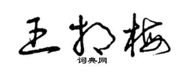 曾慶福王相梅草書個性簽名怎么寫