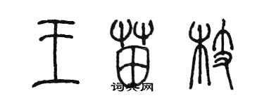 陳墨王苗枝篆書個性簽名怎么寫