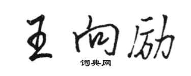 駱恆光王向勵行書個性簽名怎么寫