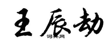 胡問遂王辰劫行書個性簽名怎么寫
