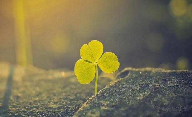 警告小三的個性簽名