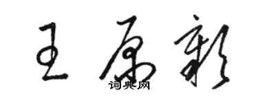 駱恆光王原彰草書個性簽名怎么寫