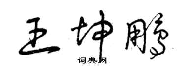 曾慶福王坤鵬草書個性簽名怎么寫