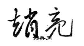 駱恆光趙亮草書個性簽名怎么寫