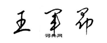 梁錦英王軍昂草書個性簽名怎么寫