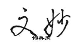 駱恆光文妙行書個性簽名怎么寫