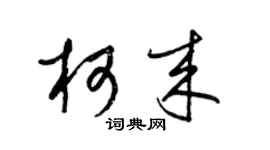 梁錦英柯來草書個性簽名怎么寫