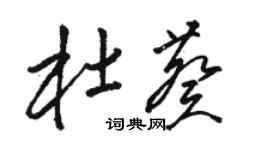 駱恆光杜葵草書個性簽名怎么寫