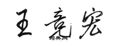 駱恆光王競宏行書個性簽名怎么寫
