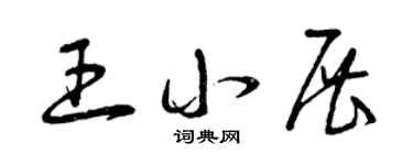 曾慶福王小展草書個性簽名怎么寫