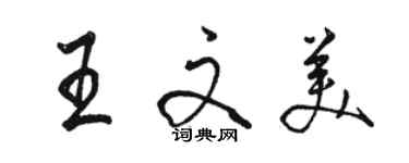 駱恆光王文美行書個性簽名怎么寫