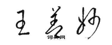 駱恆光王善妙草書個性簽名怎么寫