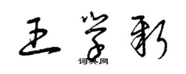 曾慶福王學新草書個性簽名怎么寫