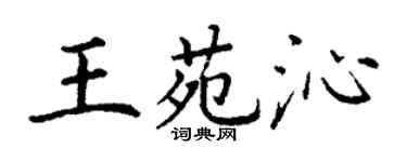 丁謙王苑沁楷書個性簽名怎么寫