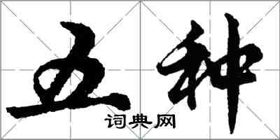 胡問遂五種行書怎么寫